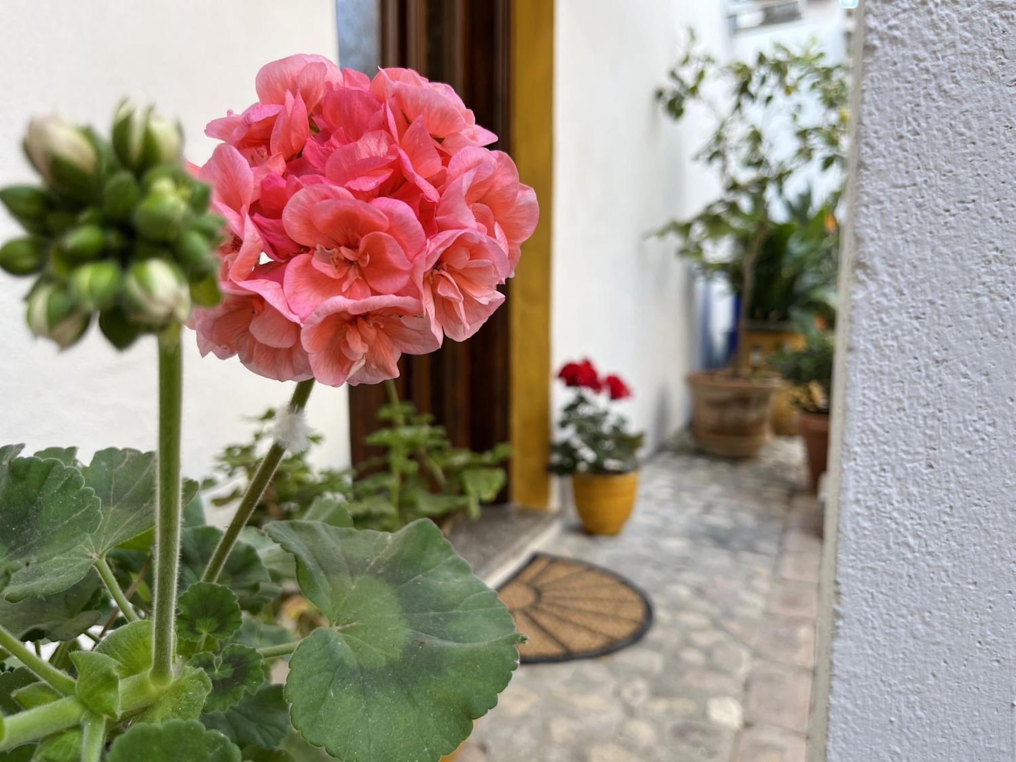 Casa Lia - Independent Apartment In The Gulf Of Orosei Galtellì 外观 照片