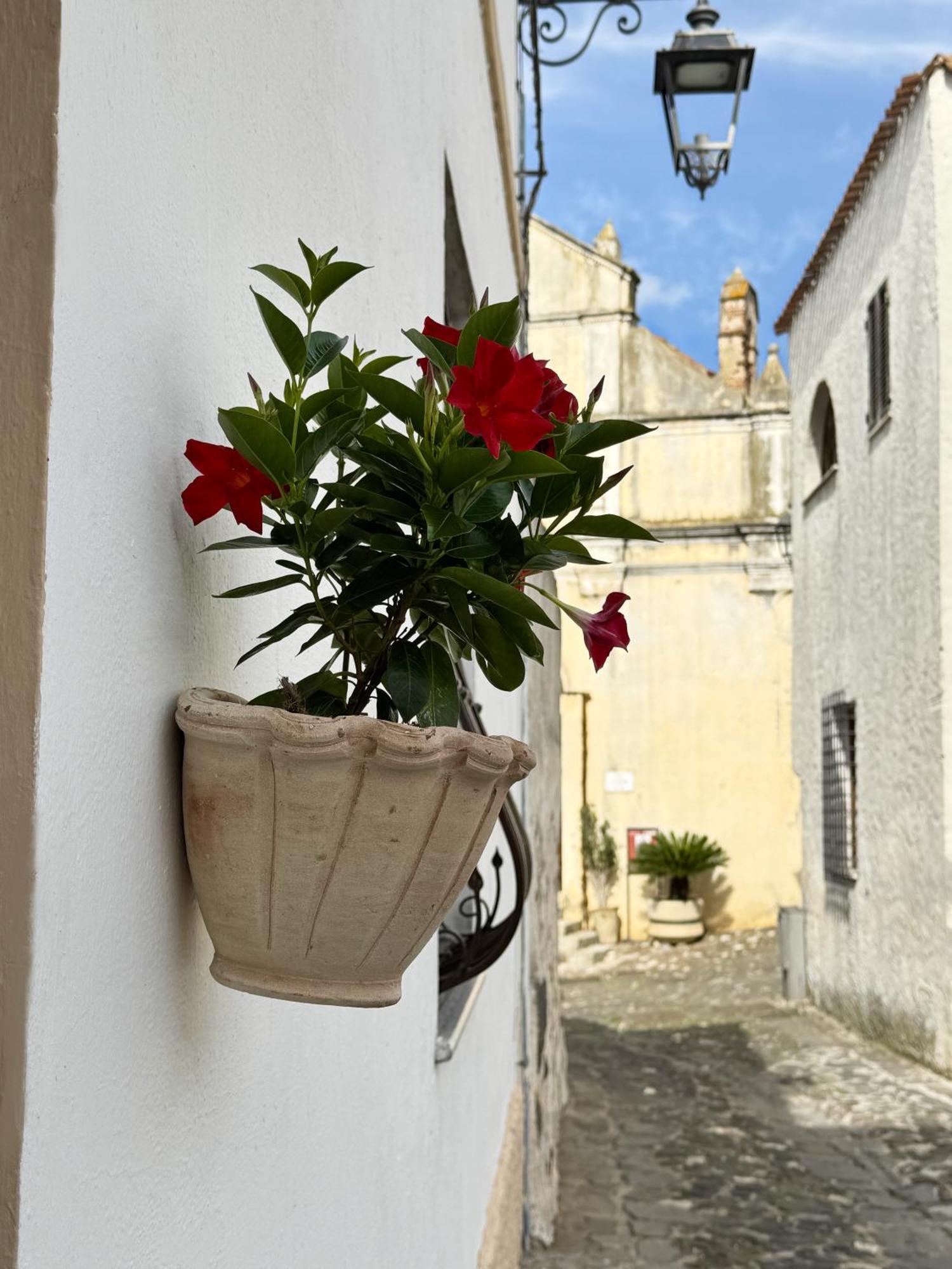 Casa Lia - Independent Apartment In The Gulf Of Orosei Galtellì 外观 照片